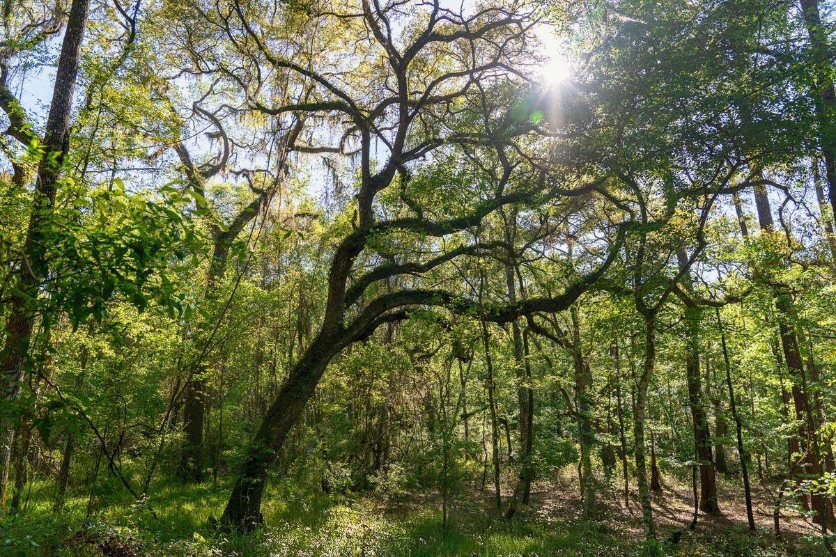 Image 4 of 12 For Tbd Lot 10 10th Terrace