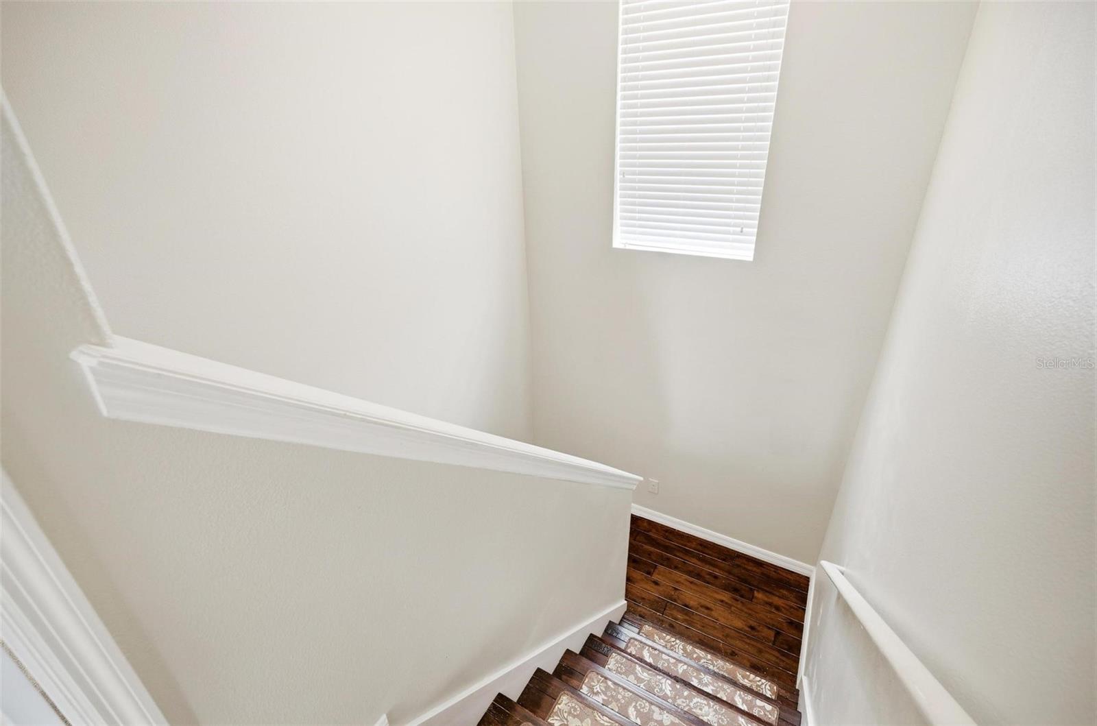 Image 35 of 70 For 1972 Fishtail Fern Way