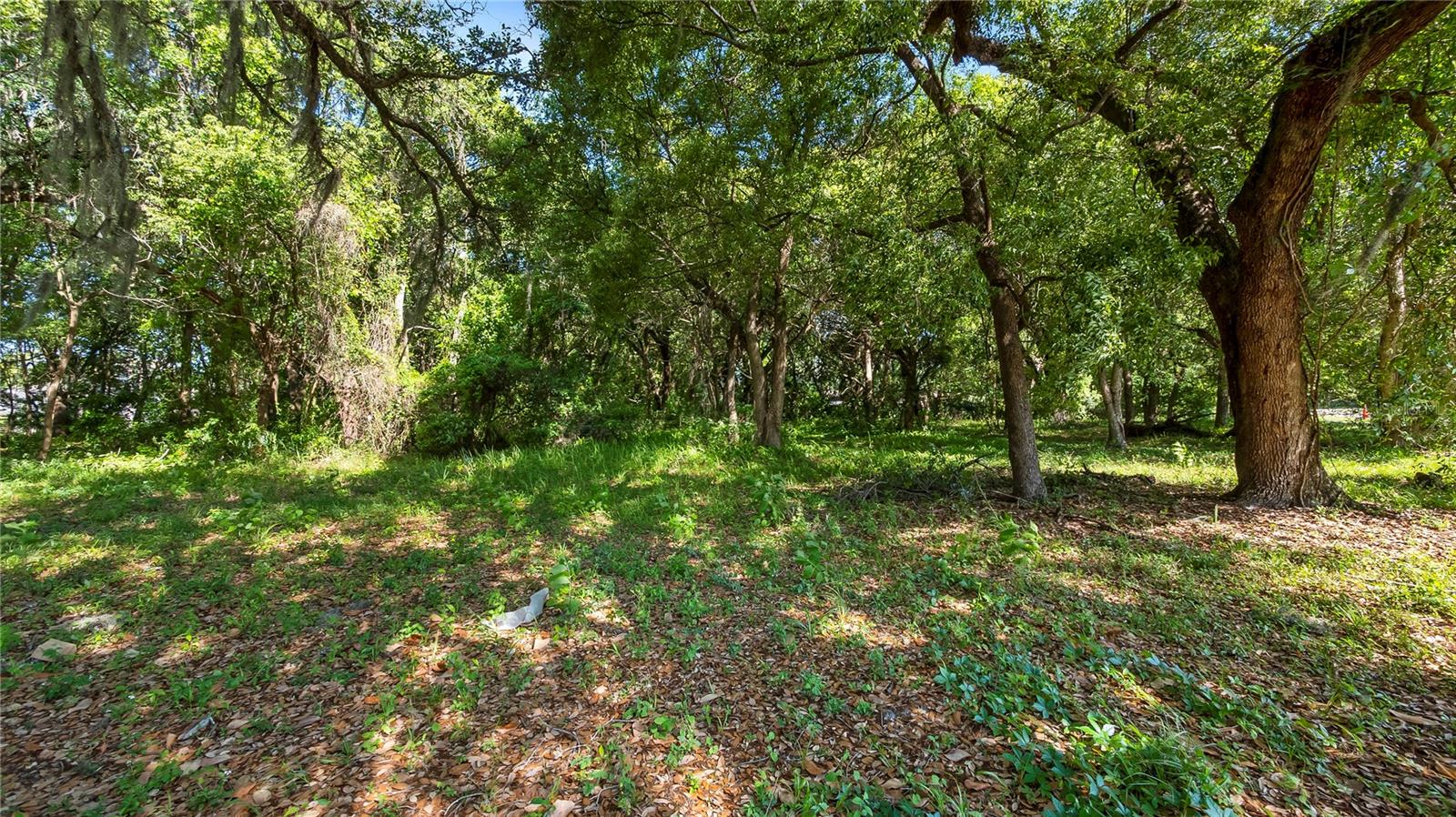 Image 20 of 57 For 1500 Hoagland Boulevard