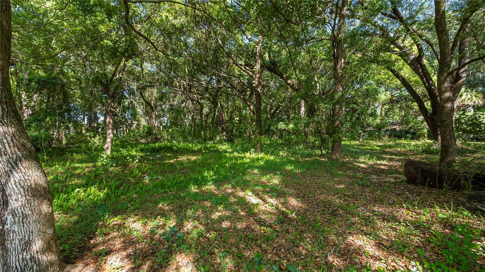 Image 22 of 57 For 1500 Hoagland Boulevard