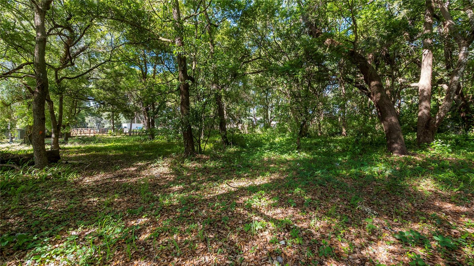 Image 24 of 57 For 1500 Hoagland Boulevard