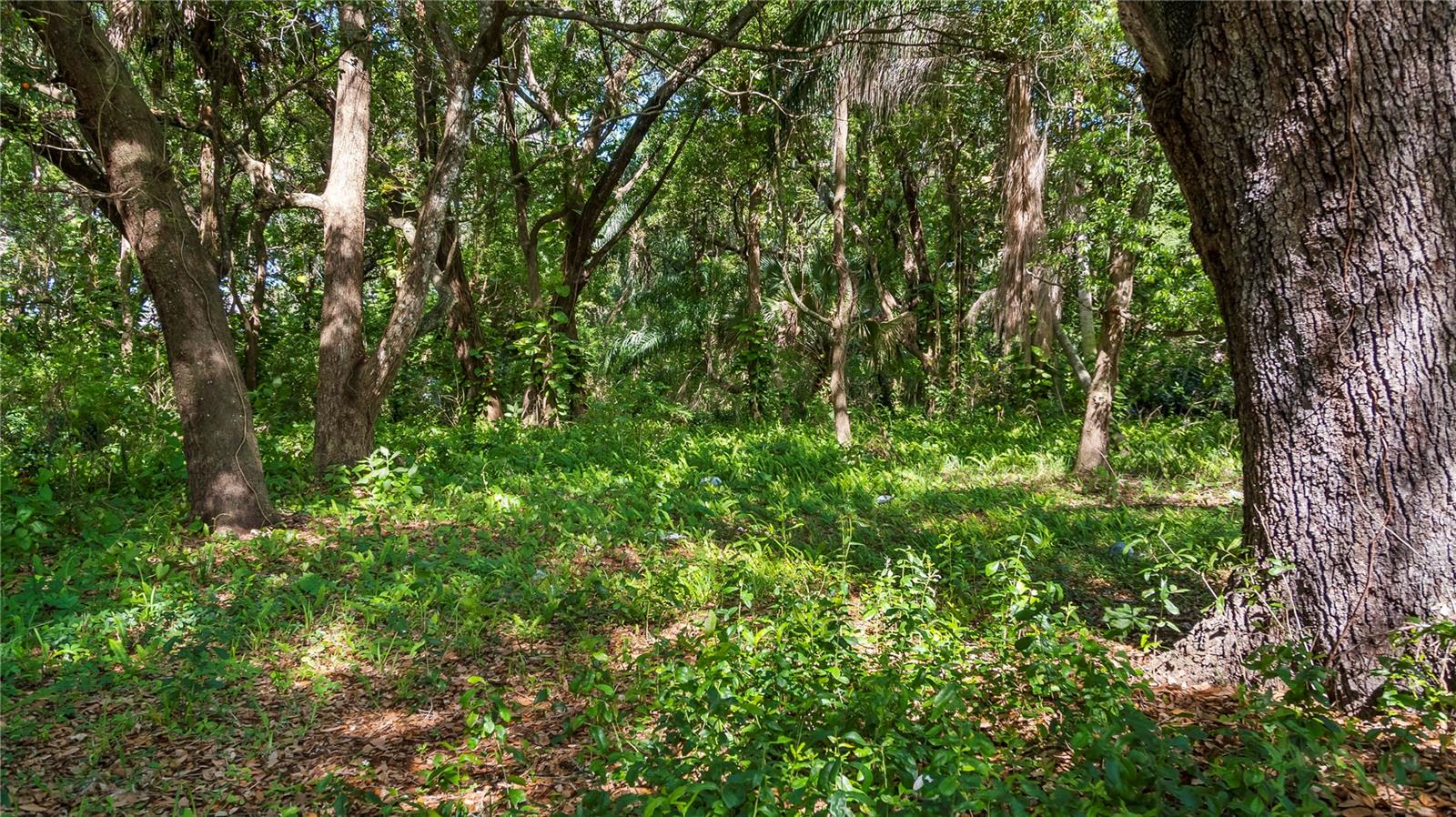 Image 25 of 57 For 1500 Hoagland Boulevard