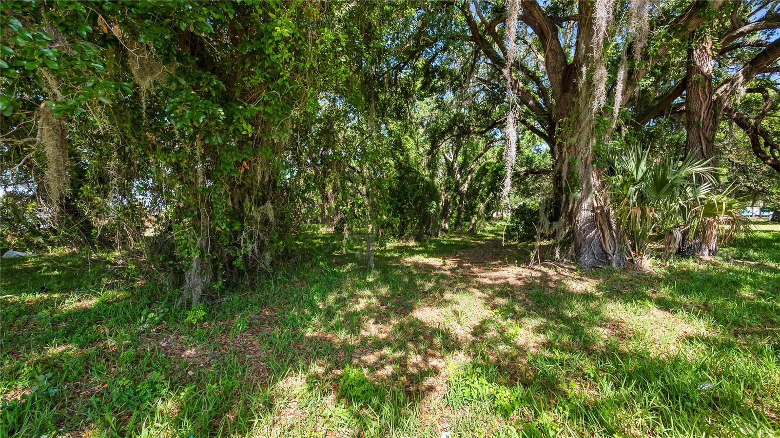 Image 42 of 57 For 1500 Hoagland Boulevard