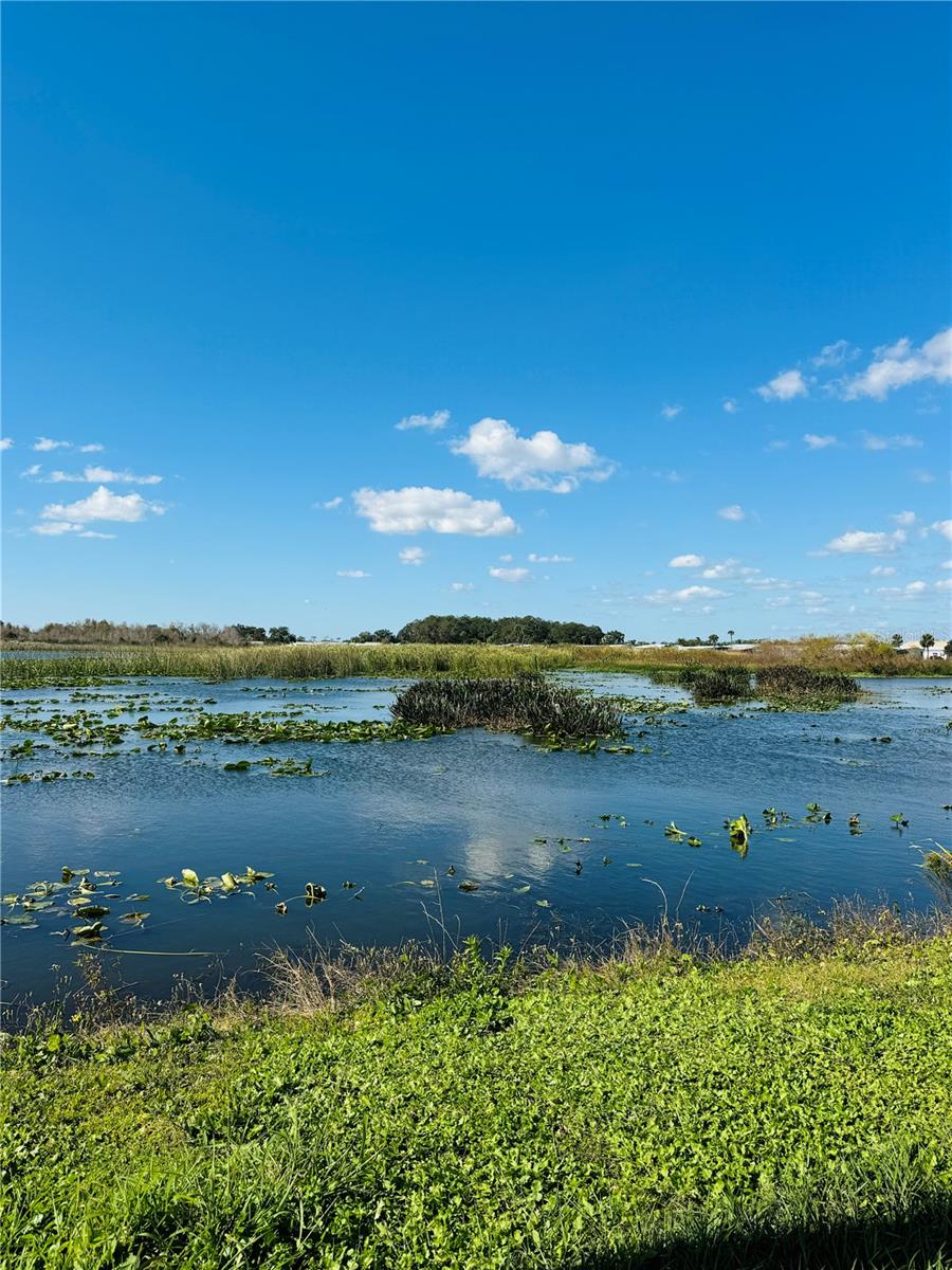 Image 6 of 60 For 320 Aloha Drive