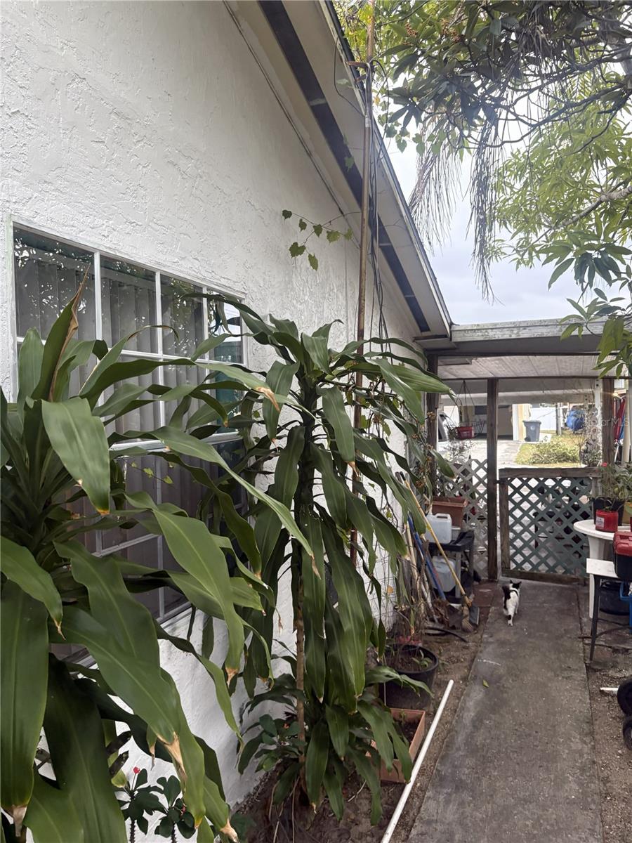 Image 45 of 45 For 514 Hood Street