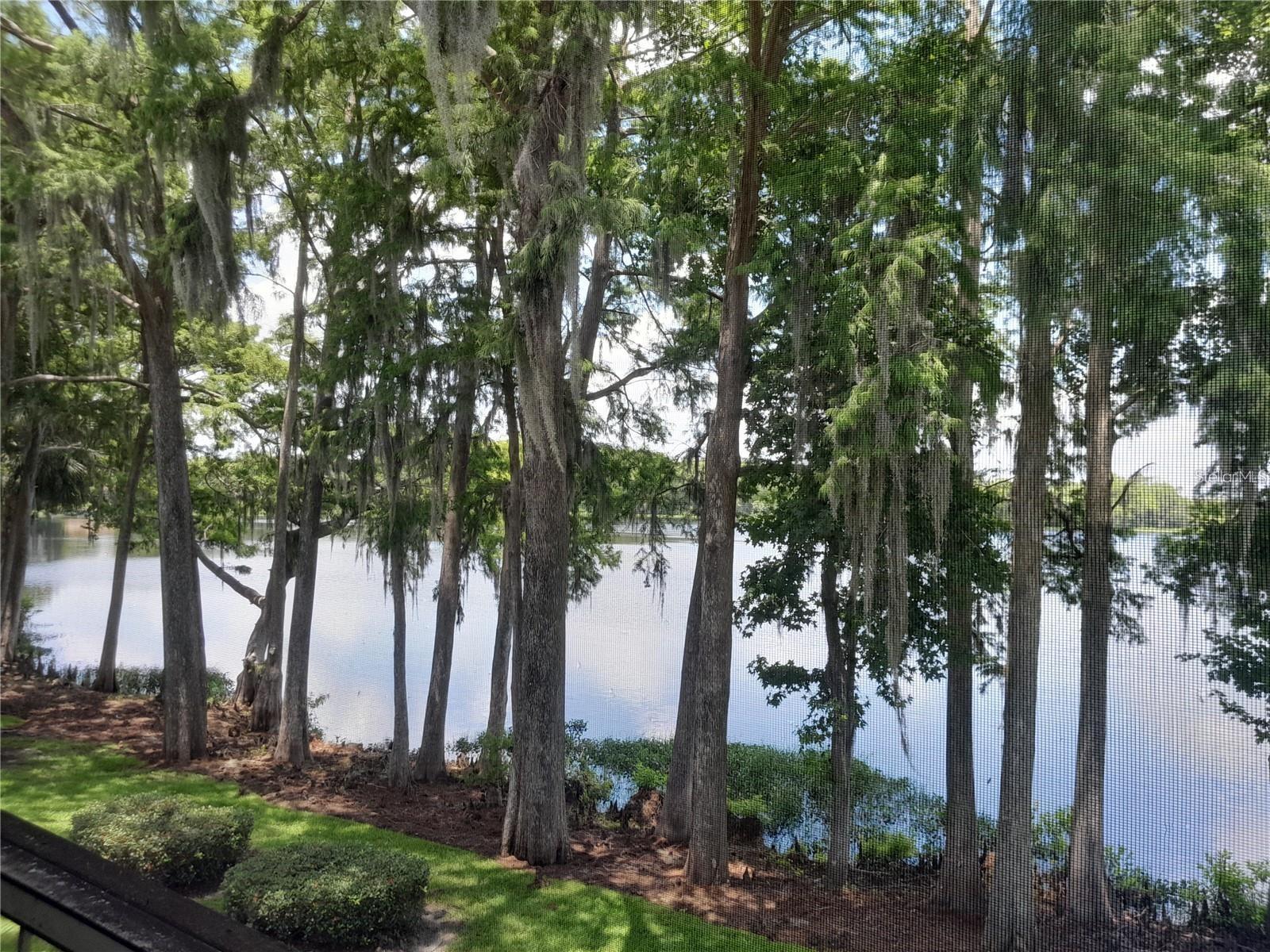 Image 22 of 22 For 25210 Northlake Drive 210