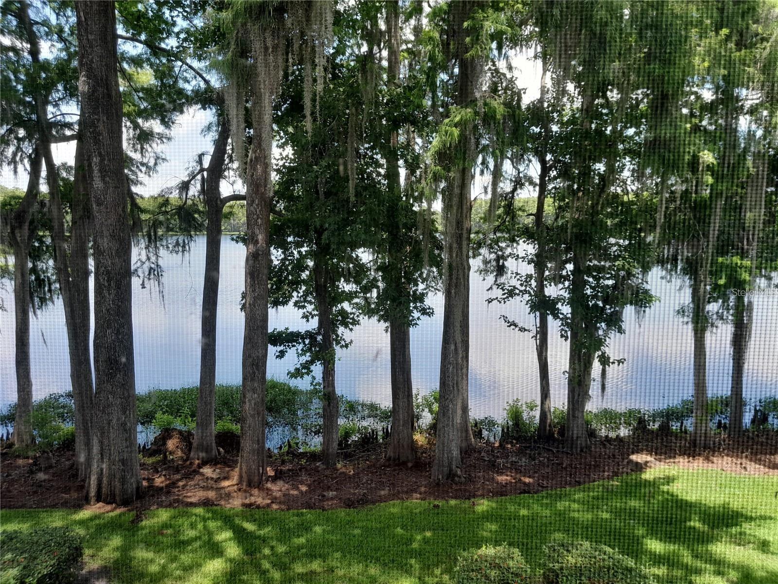 Image 7 of 22 For 25210 Northlake Drive 210