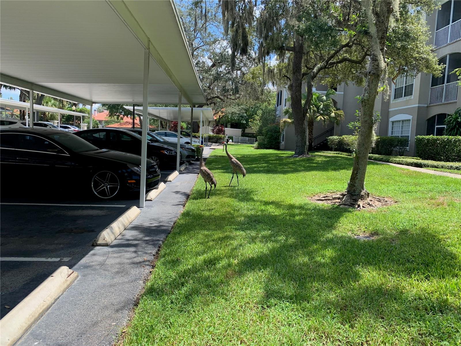 Image 25 of 27 For 1212 Hiawassee Road 535