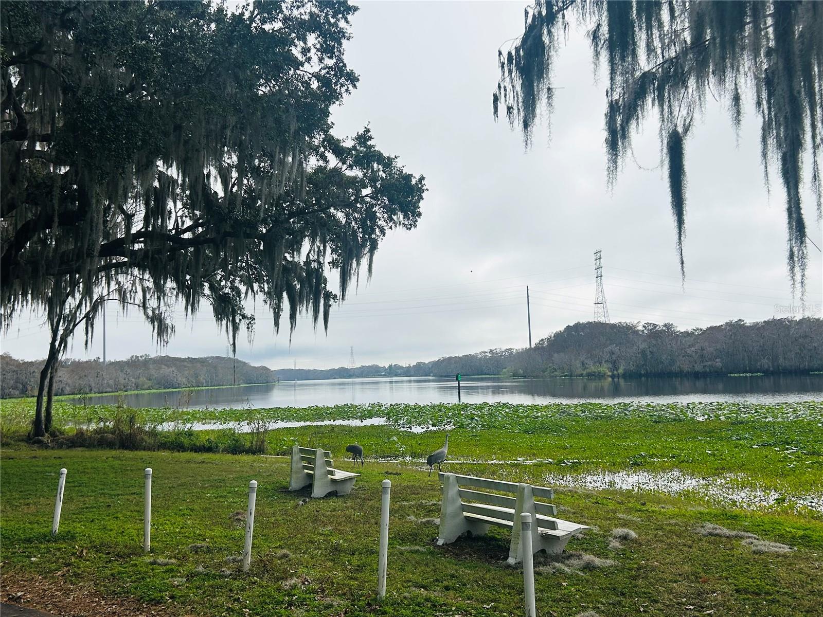 Image 21 of 27 For 133 Cypress Drive