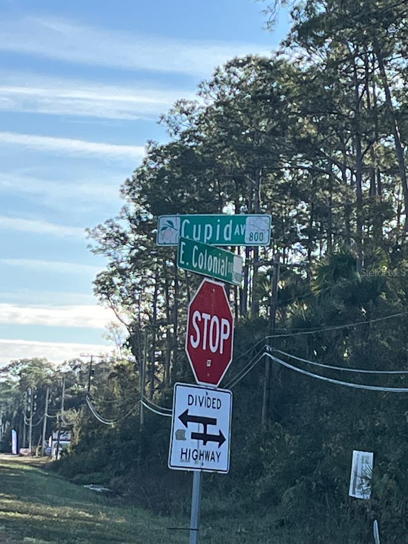 Image 18 of 18 For 1205 Cupid Avenue