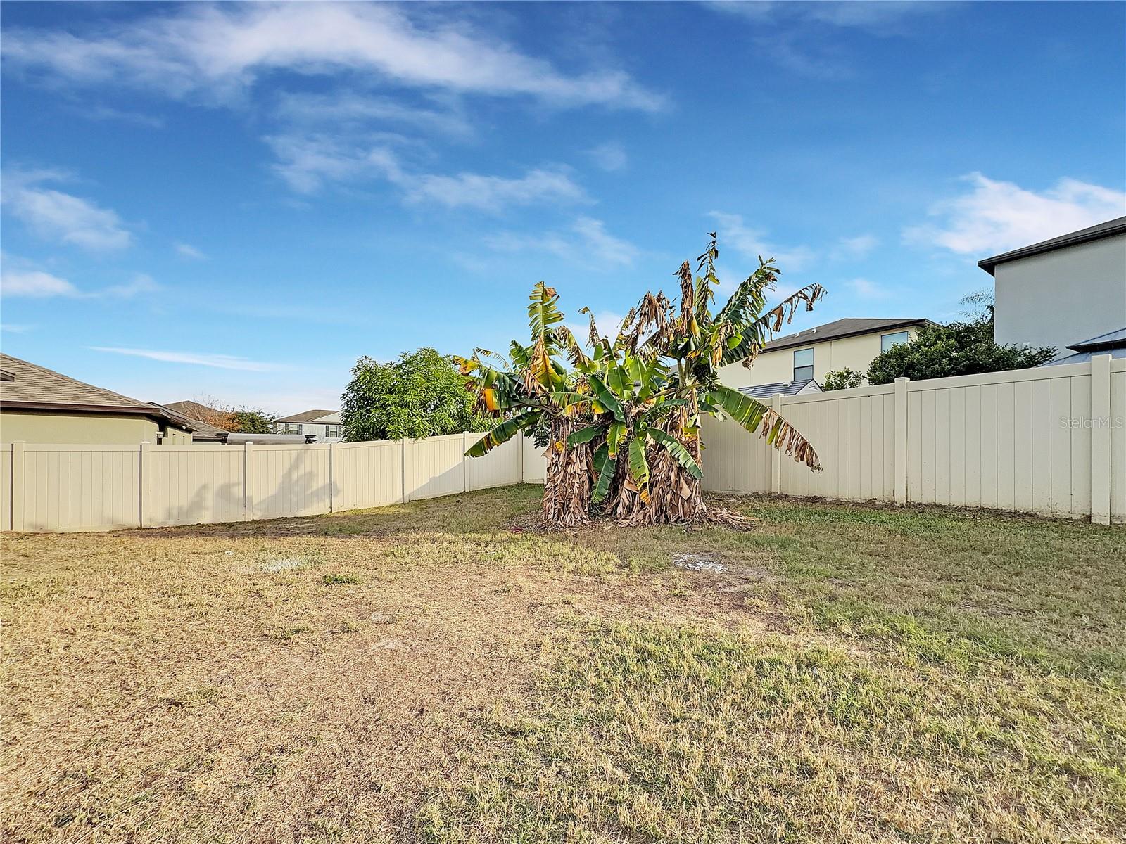 Image 21 of 22 For 10113 Rosemary Leaf Lane