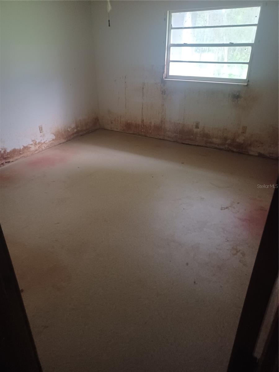 Image 7 of 18 For 155 Parsons Road