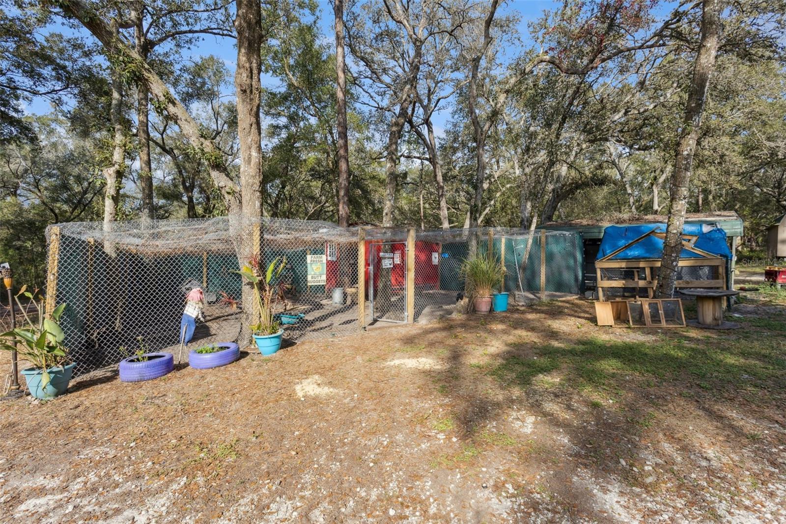 Image 33 of 50 For 1208 Darcy Road