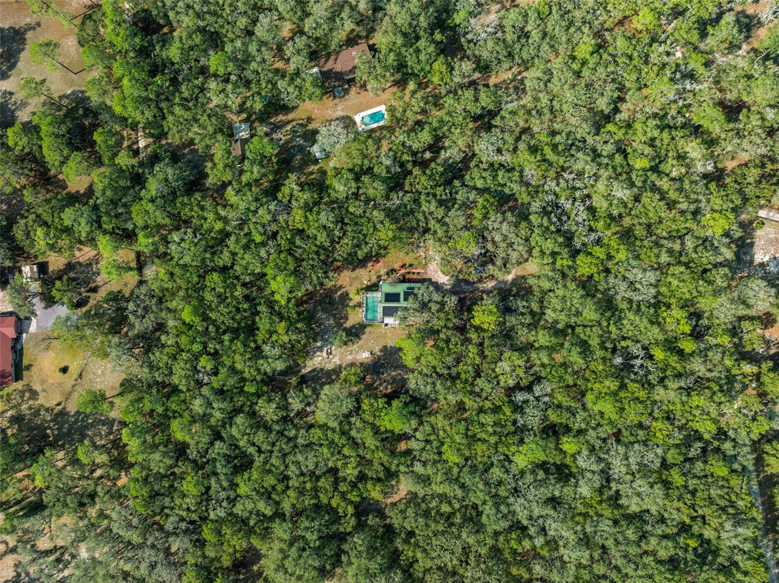 Image 42 of 50 For 1208 Darcy Road