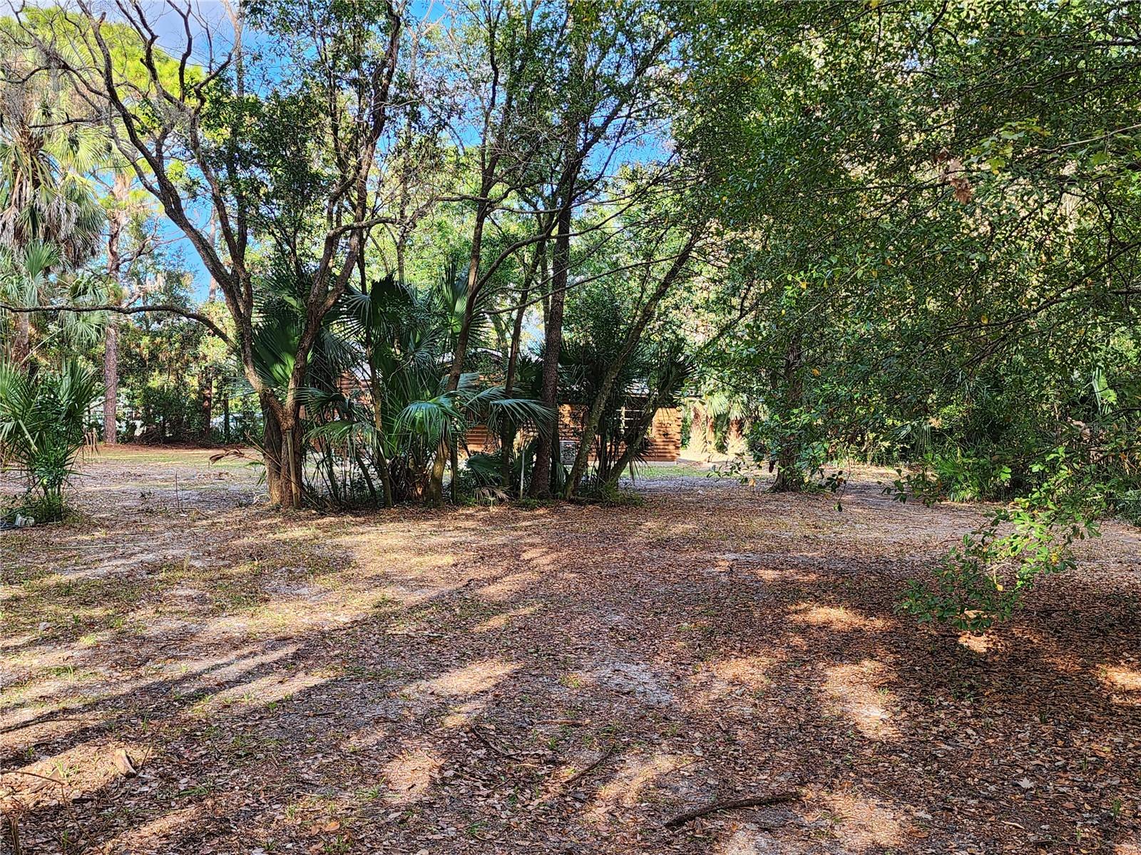 Image 17 of 29 For 32108 Holopaw Trail