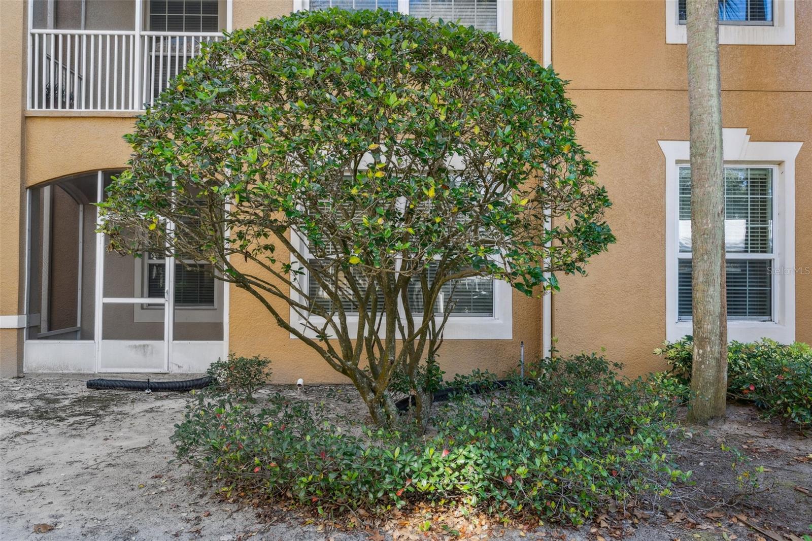 Image 21 of 21 For 2484 San Tecla Street 105