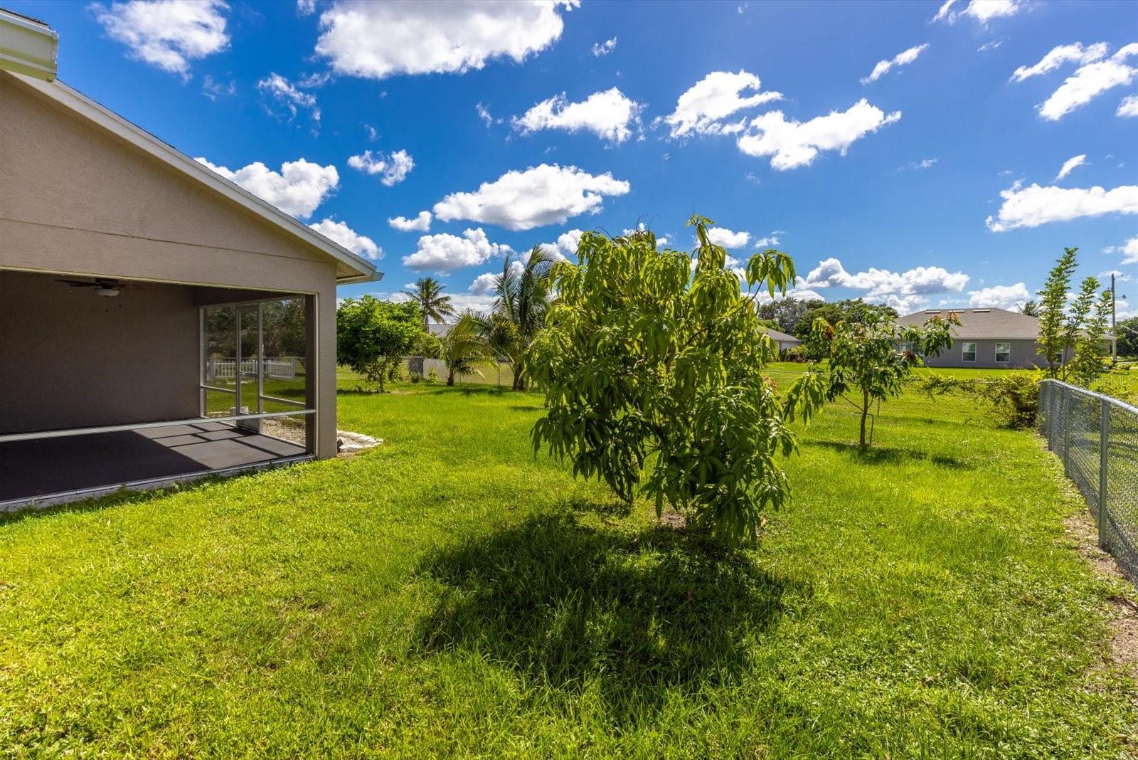 Image 31 of 33 For 512 Mccomb Avenue