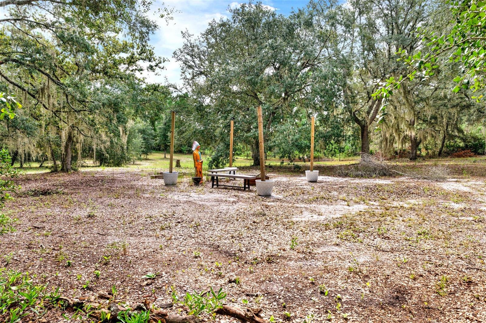 Details for Blackwater Oaks Drive, EUSTIS, FL 32736