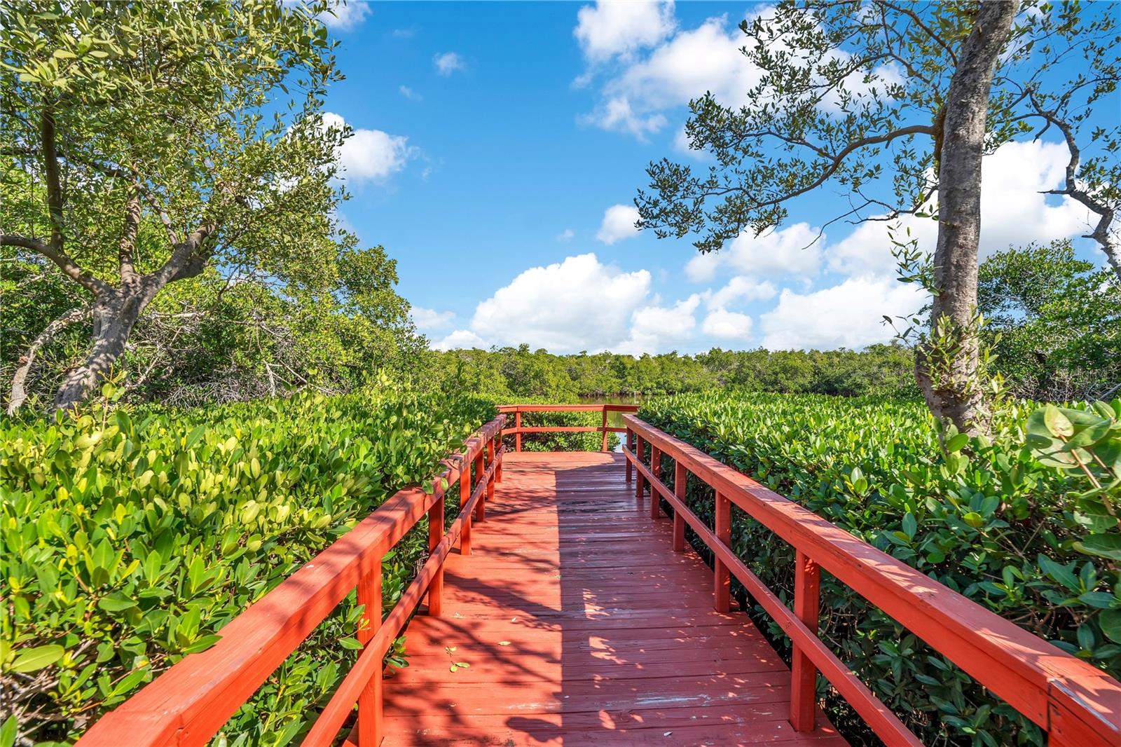 Image 51 of 66 For 4013 Catalina Drive 4013