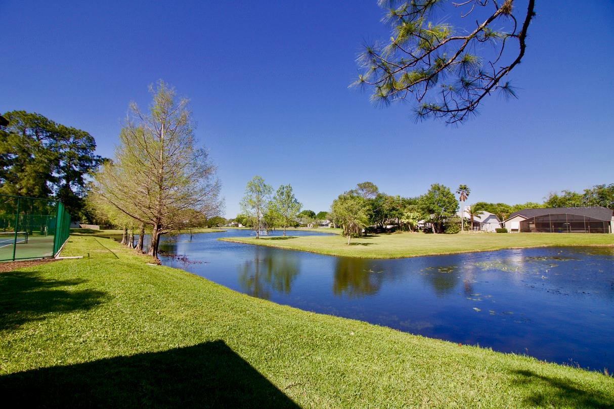 Image 42 of 47 For 1816 Meadowgold Lane