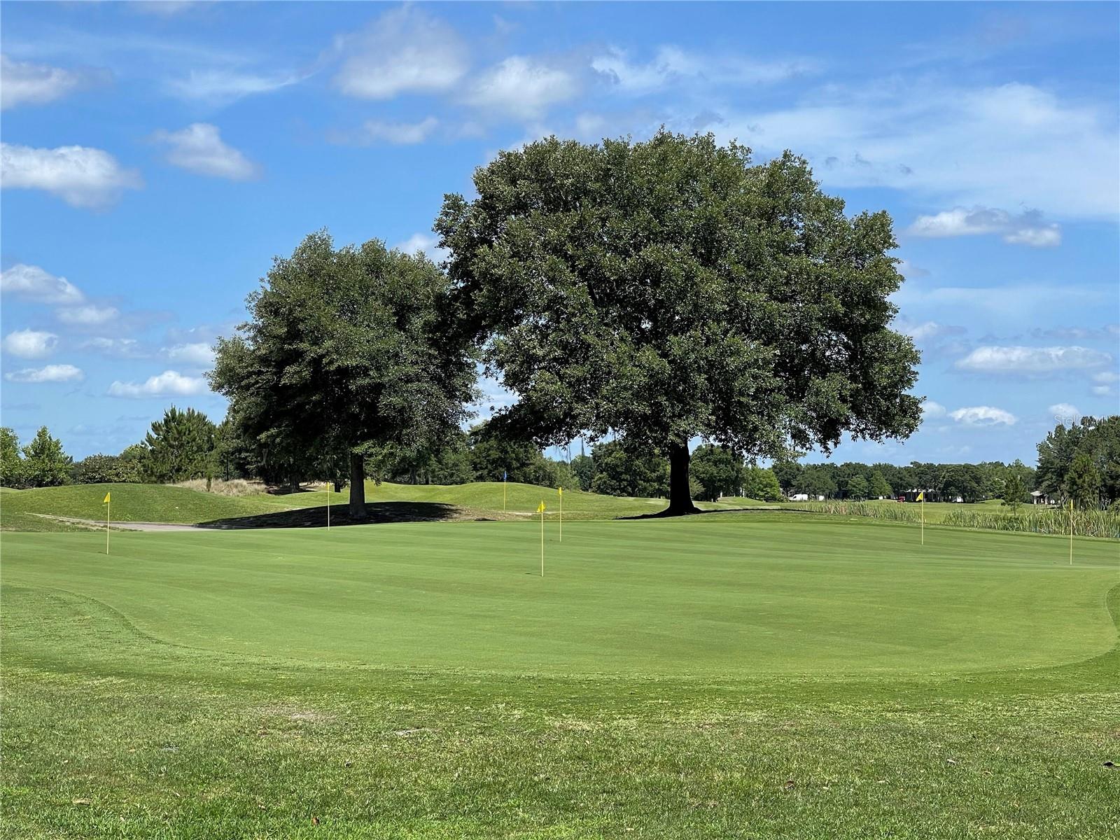 Image 16 of 21 For 3434 Sagebrush Street