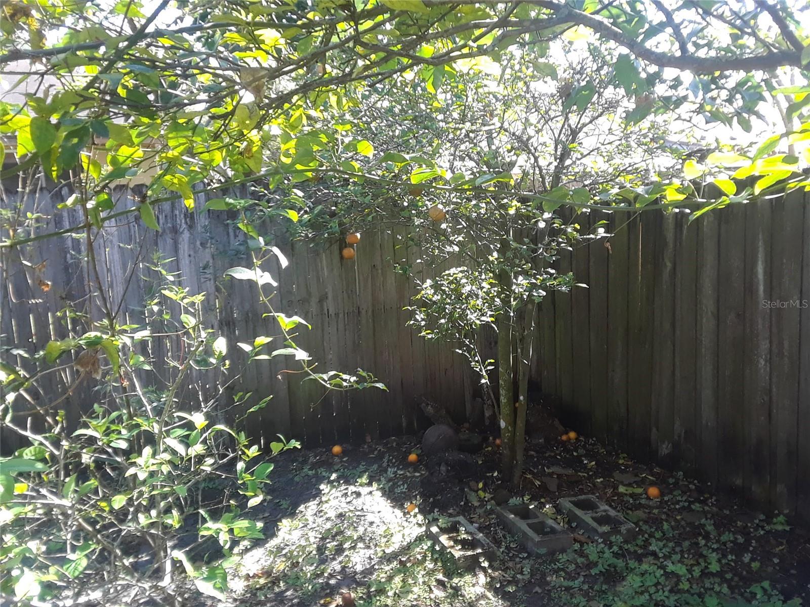 Image 4 of 20 For 1303 Candlewyck Drive