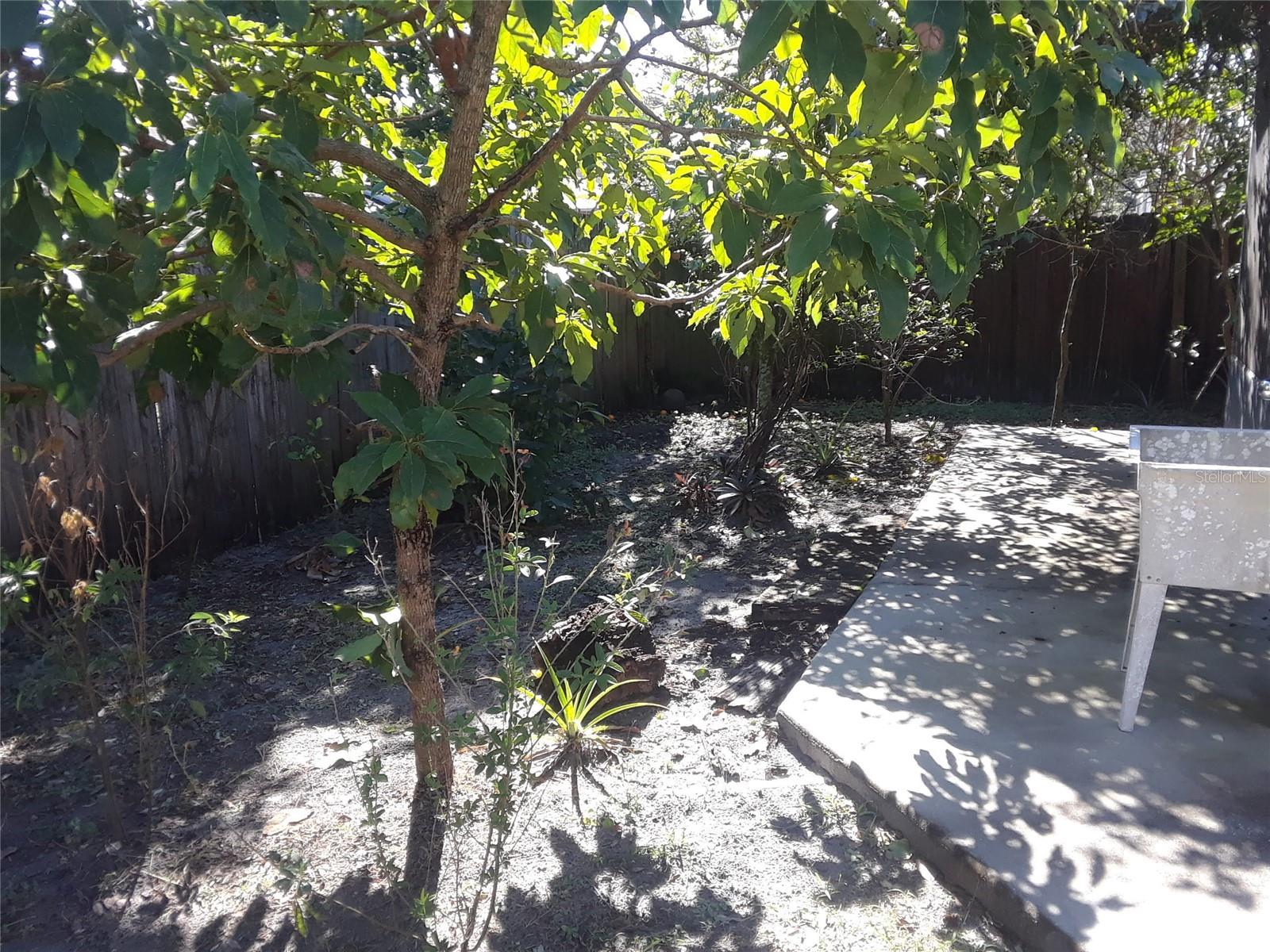 Image 5 of 20 For 1303 Candlewyck Drive