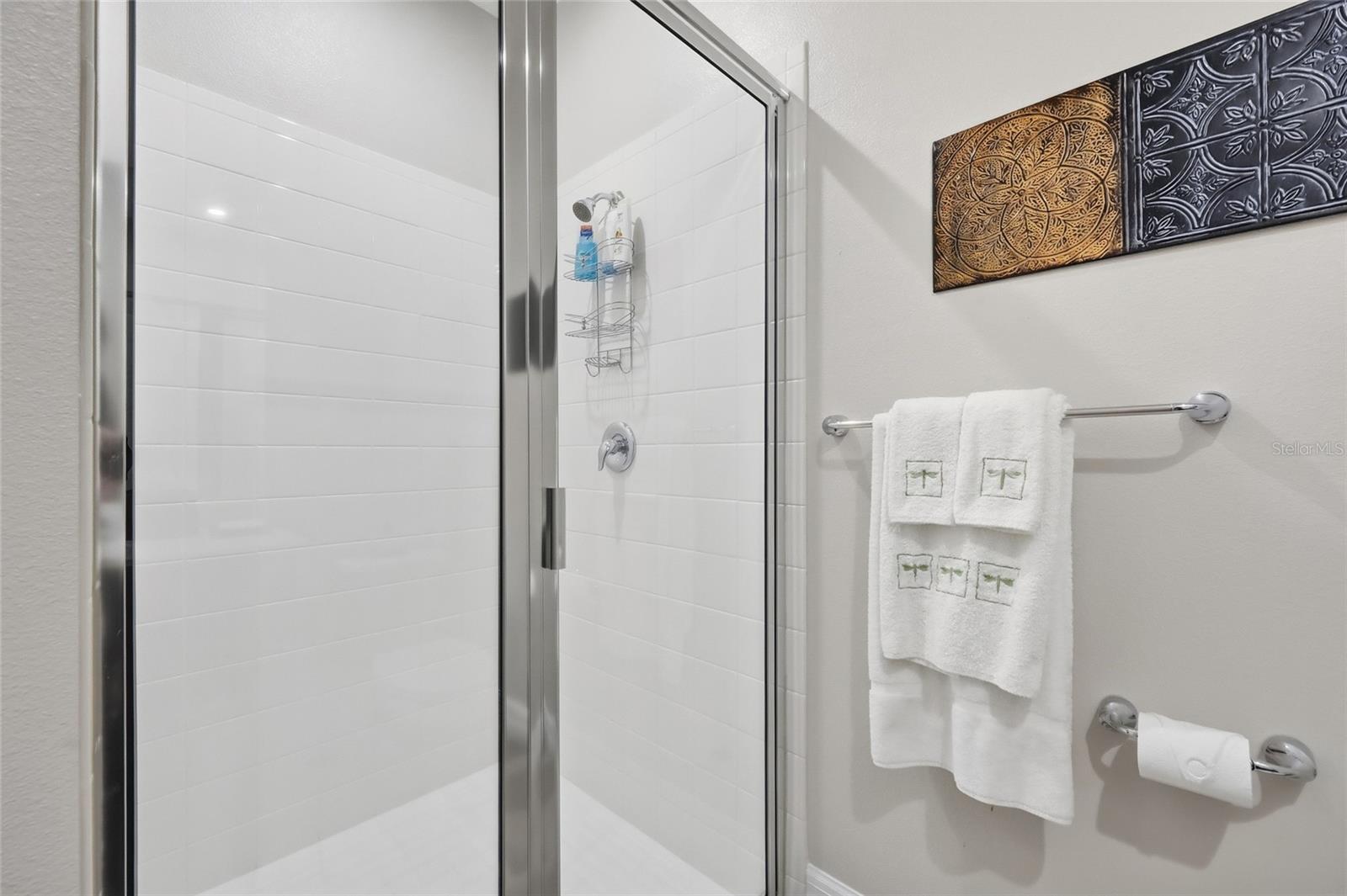 Image 30 of 88 For 2452 Varenna Loop