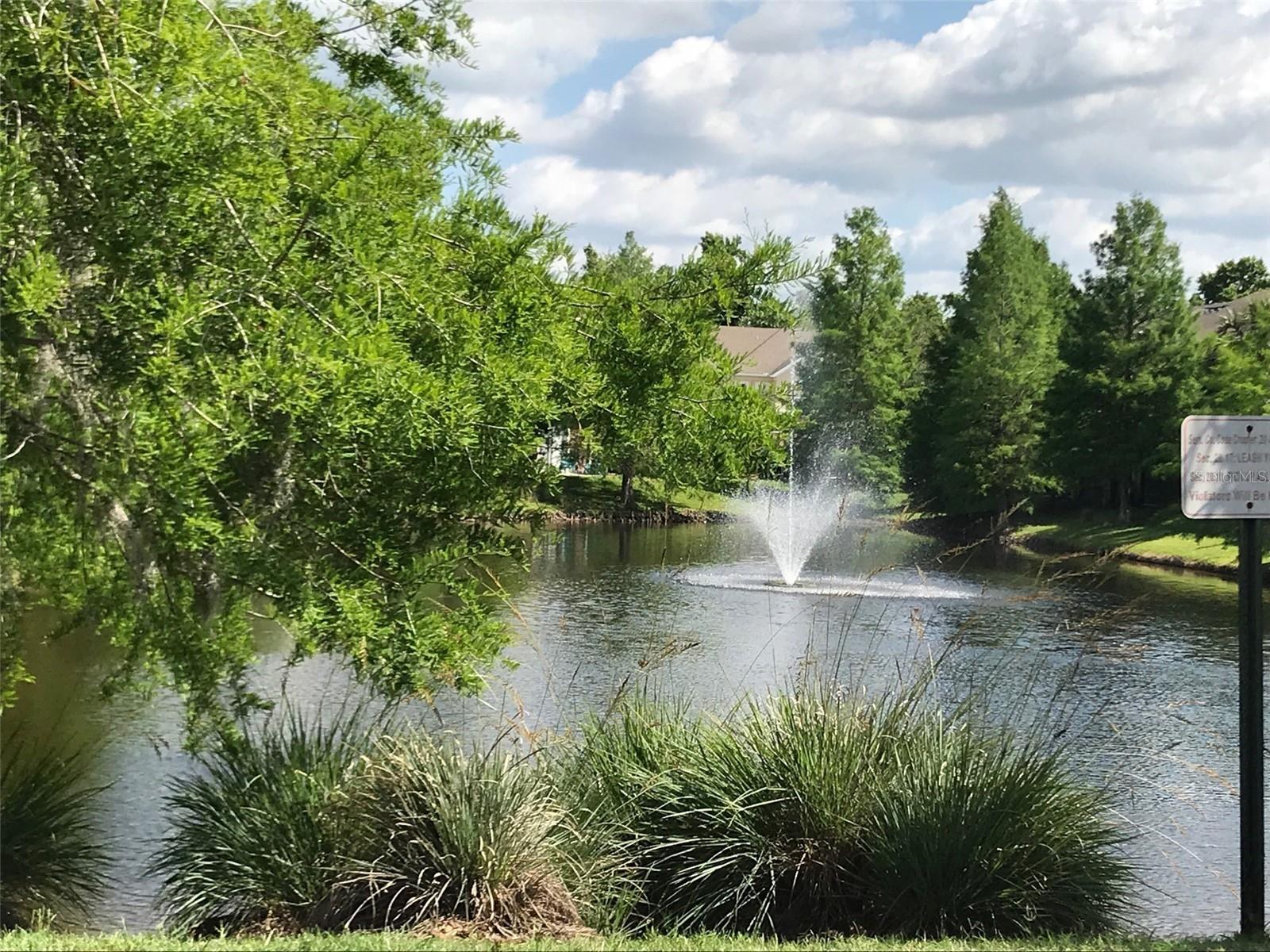 Image 24 of 25 For 629 Pinebranch Circle