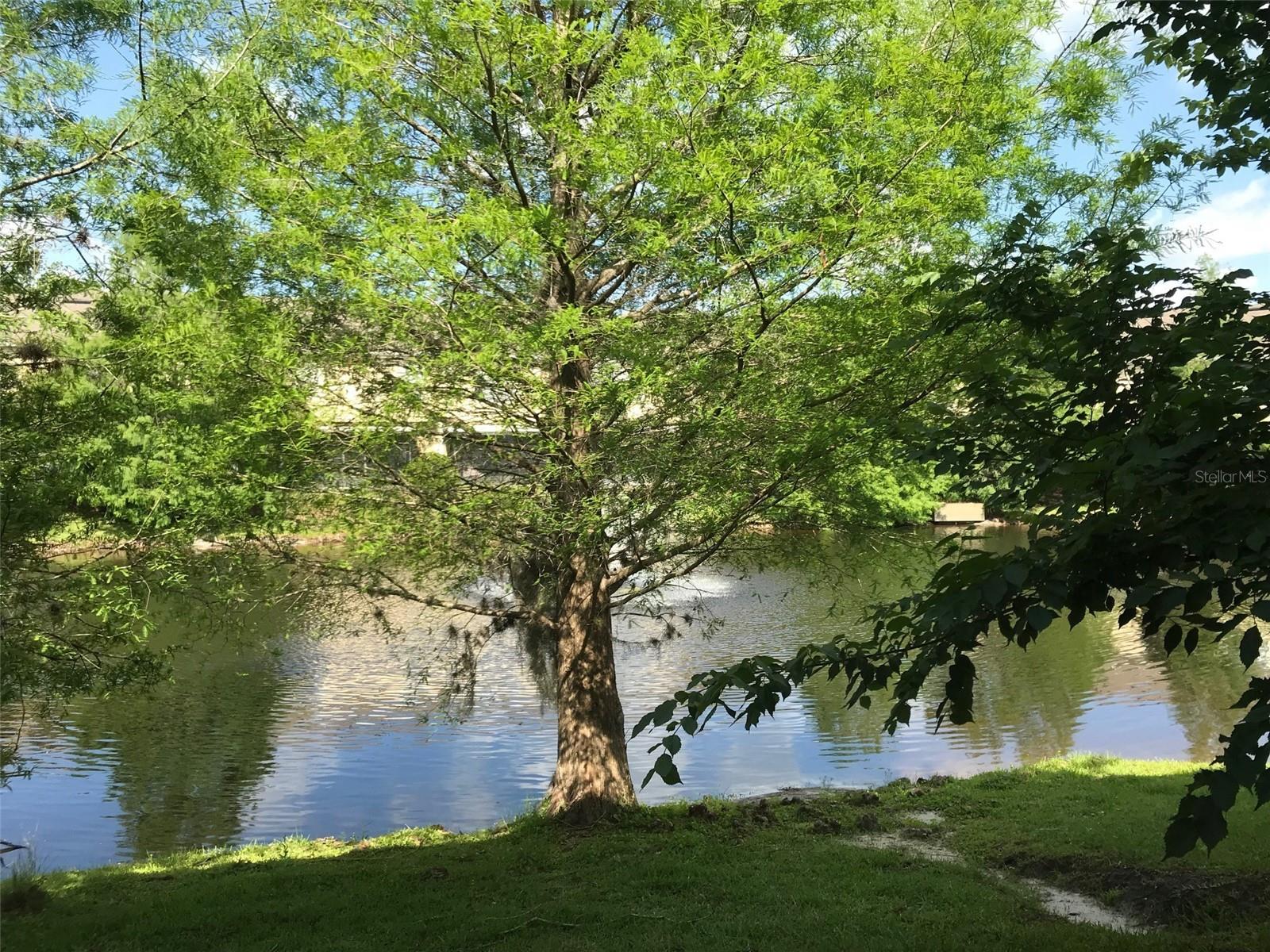 Image 25 of 25 For 629 Pinebranch Circle