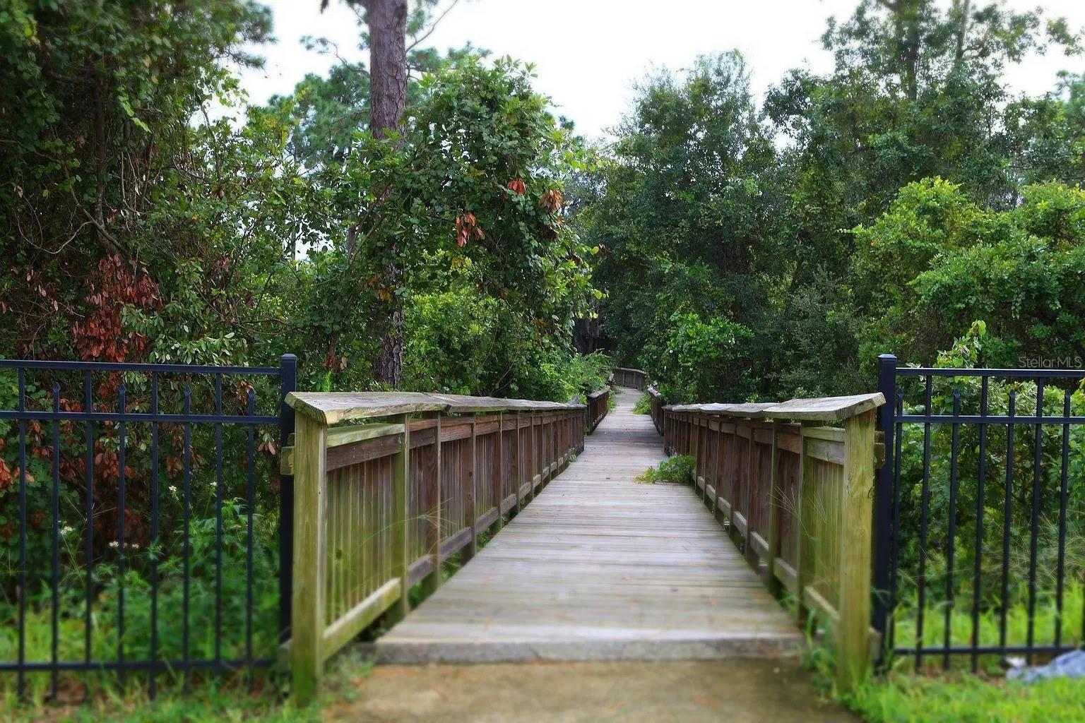 Image 15 of 34 For 2703 Andros Lane