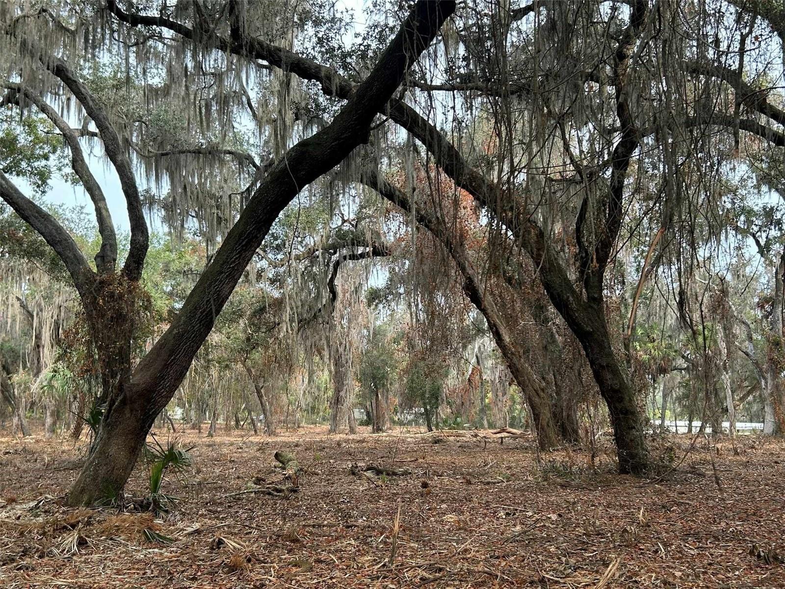 Image 4 of 6 For Faye Street