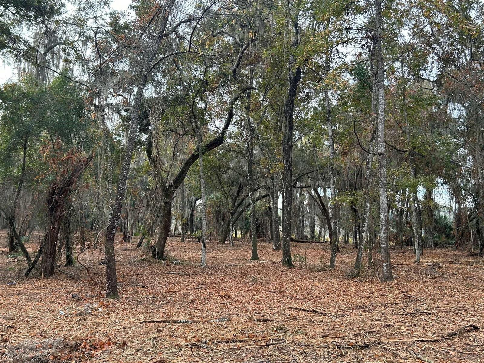 Image 5 of 6 For Faye Street