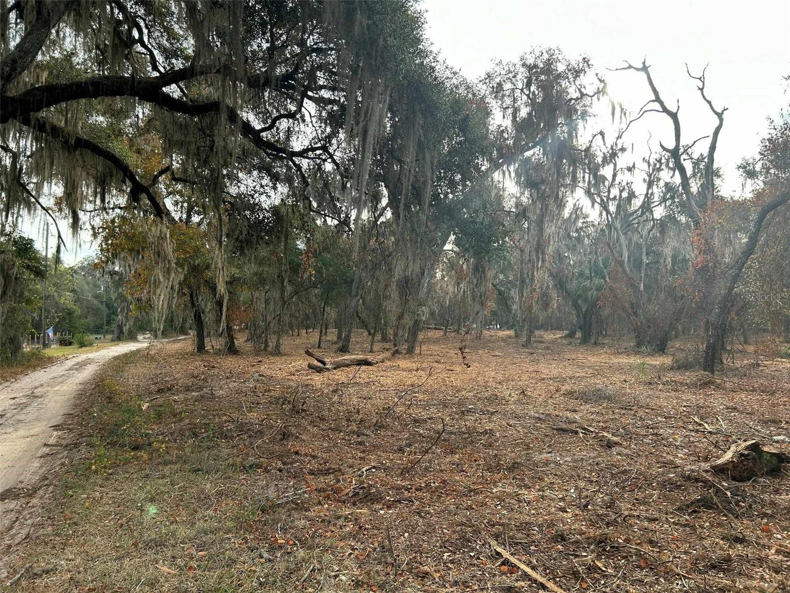 Image 6 of 6 For Faye Street