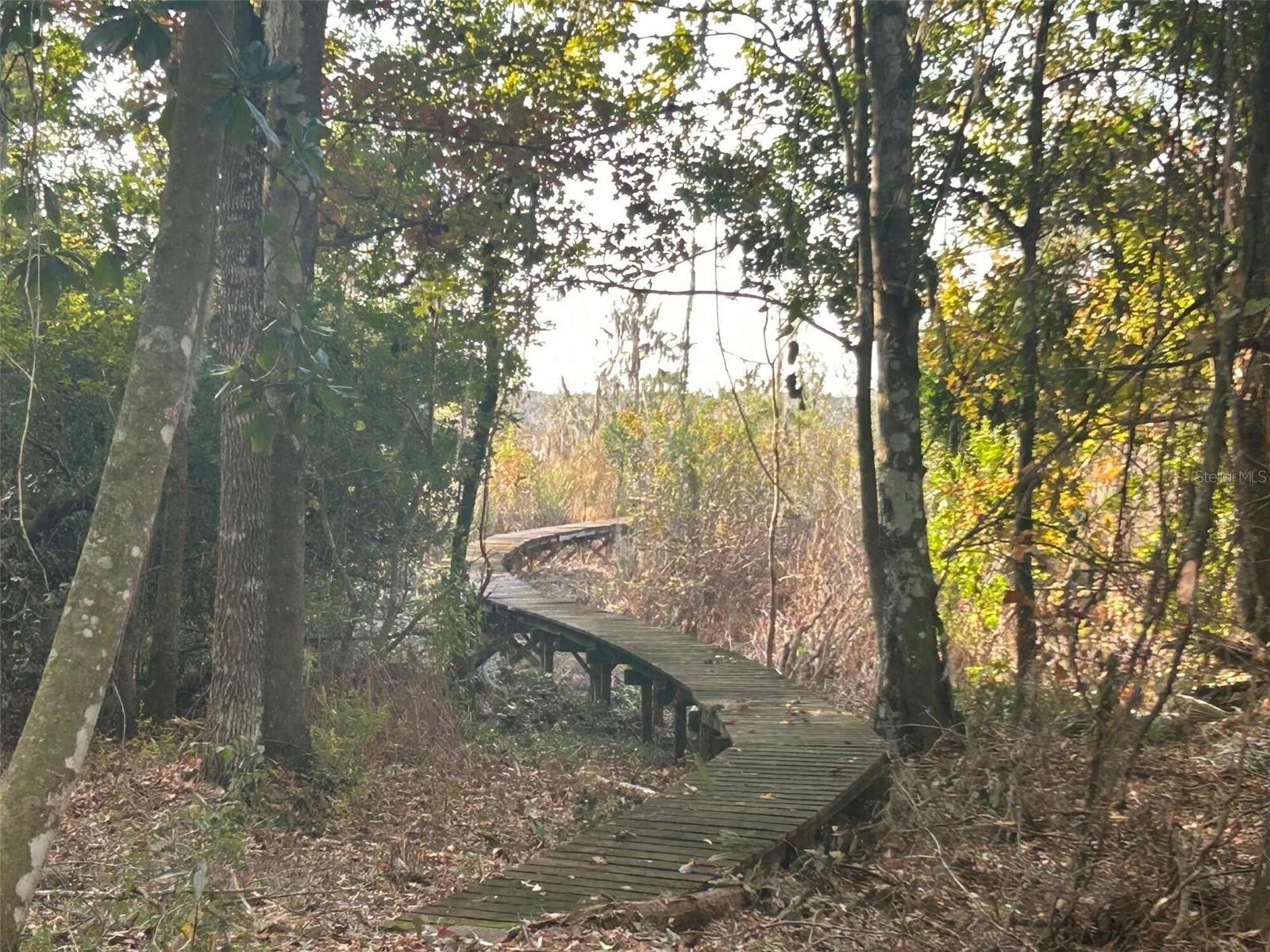 Image 3 of 6 For 173 She She Road