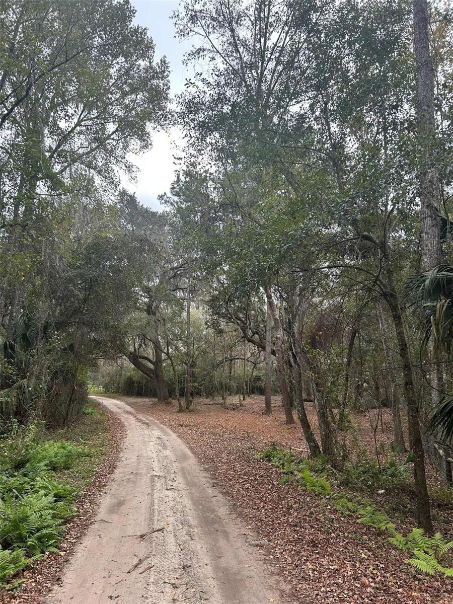 Image 5 of 6 For 173 She She Road