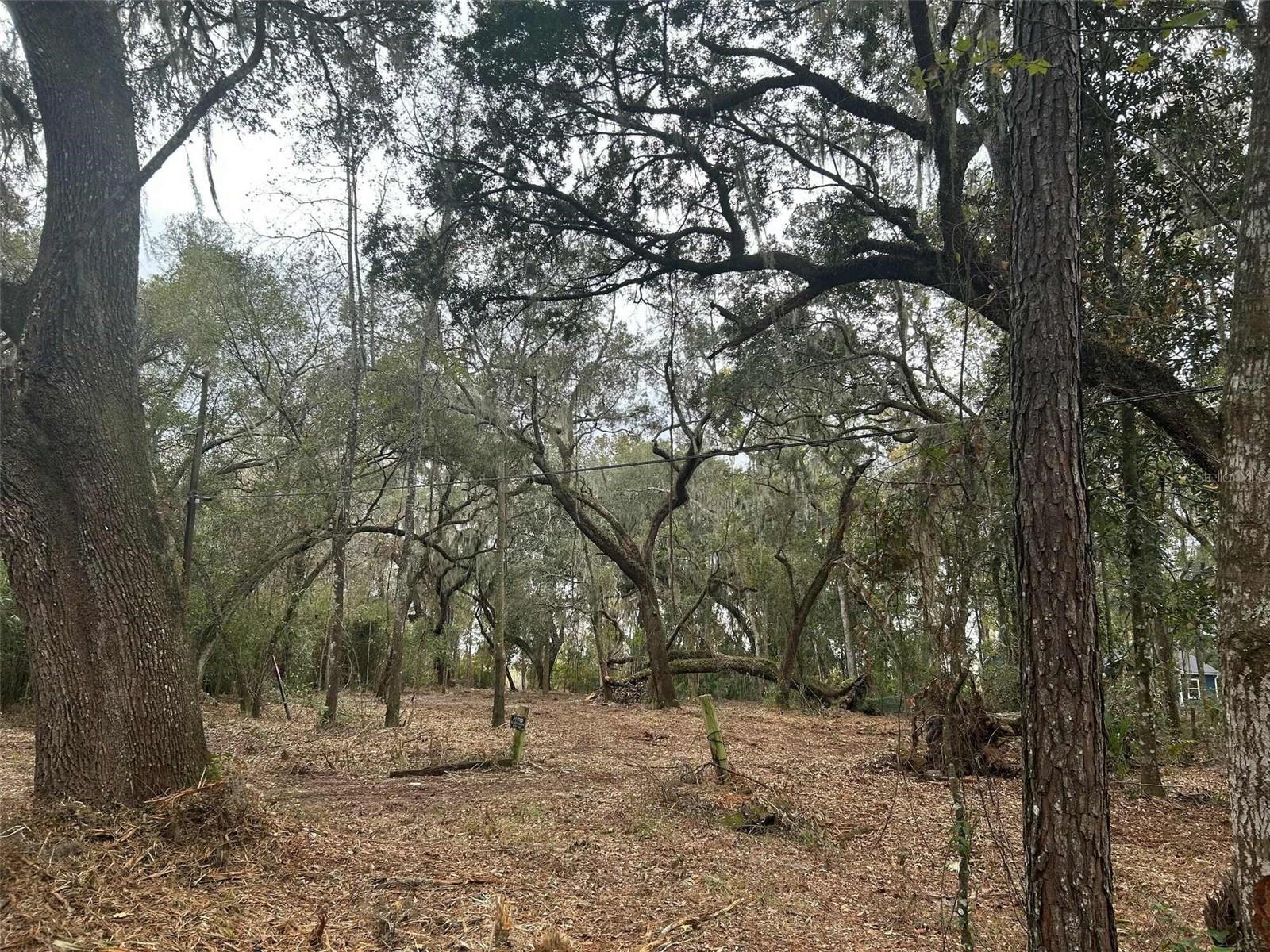 Image 6 of 6 For 173 She She Road