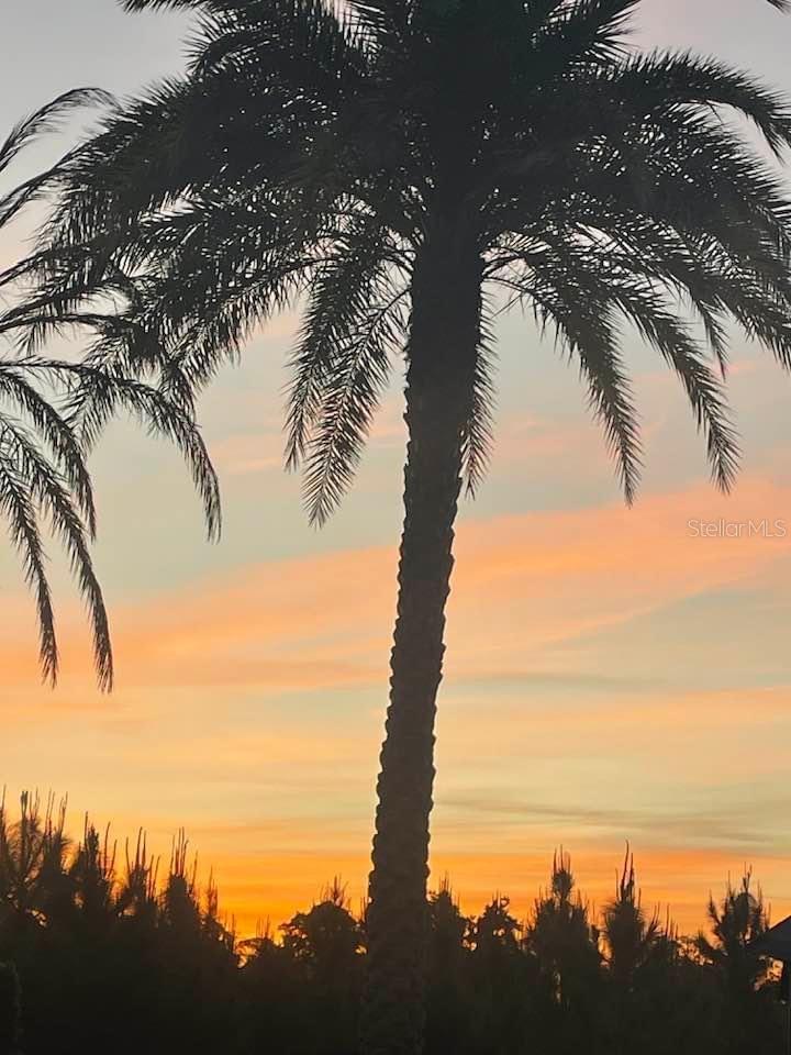 Image 28 of 28 For 917 St George Drive