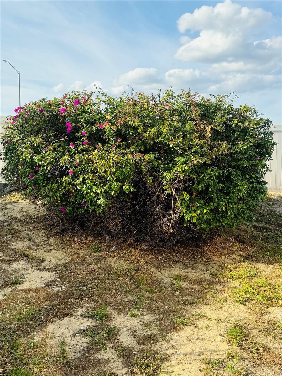 Image 3 of 28 For 917 St George Drive