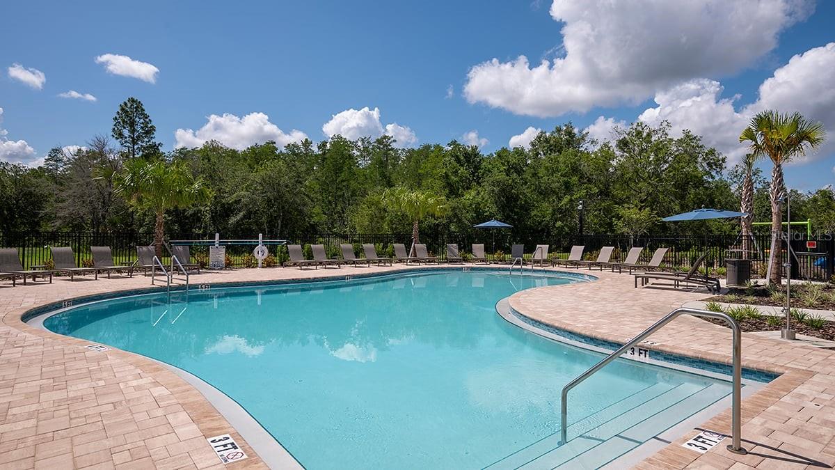 Image 19 of 43 For 2919 Skyline Loop