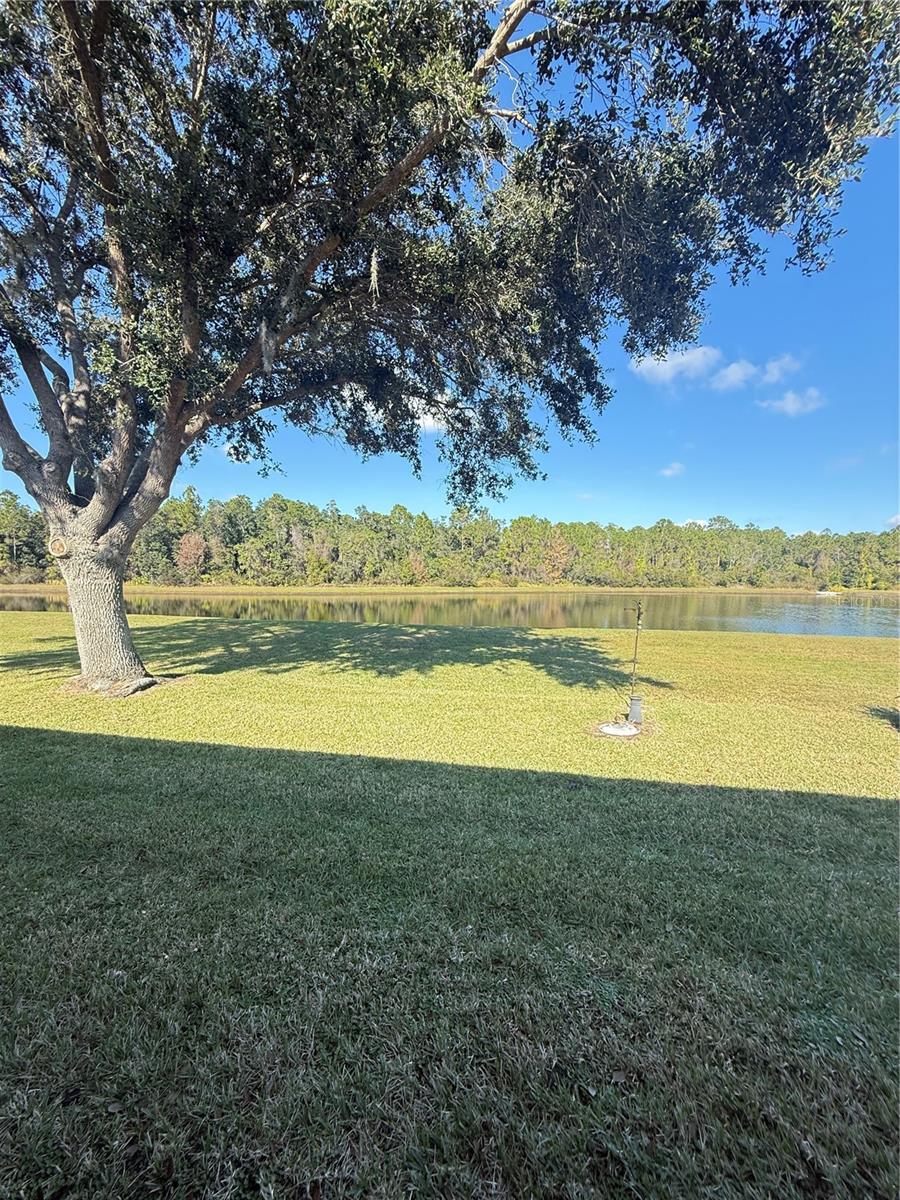 Image 45 of 52 For 10029 Chardonnay Drive