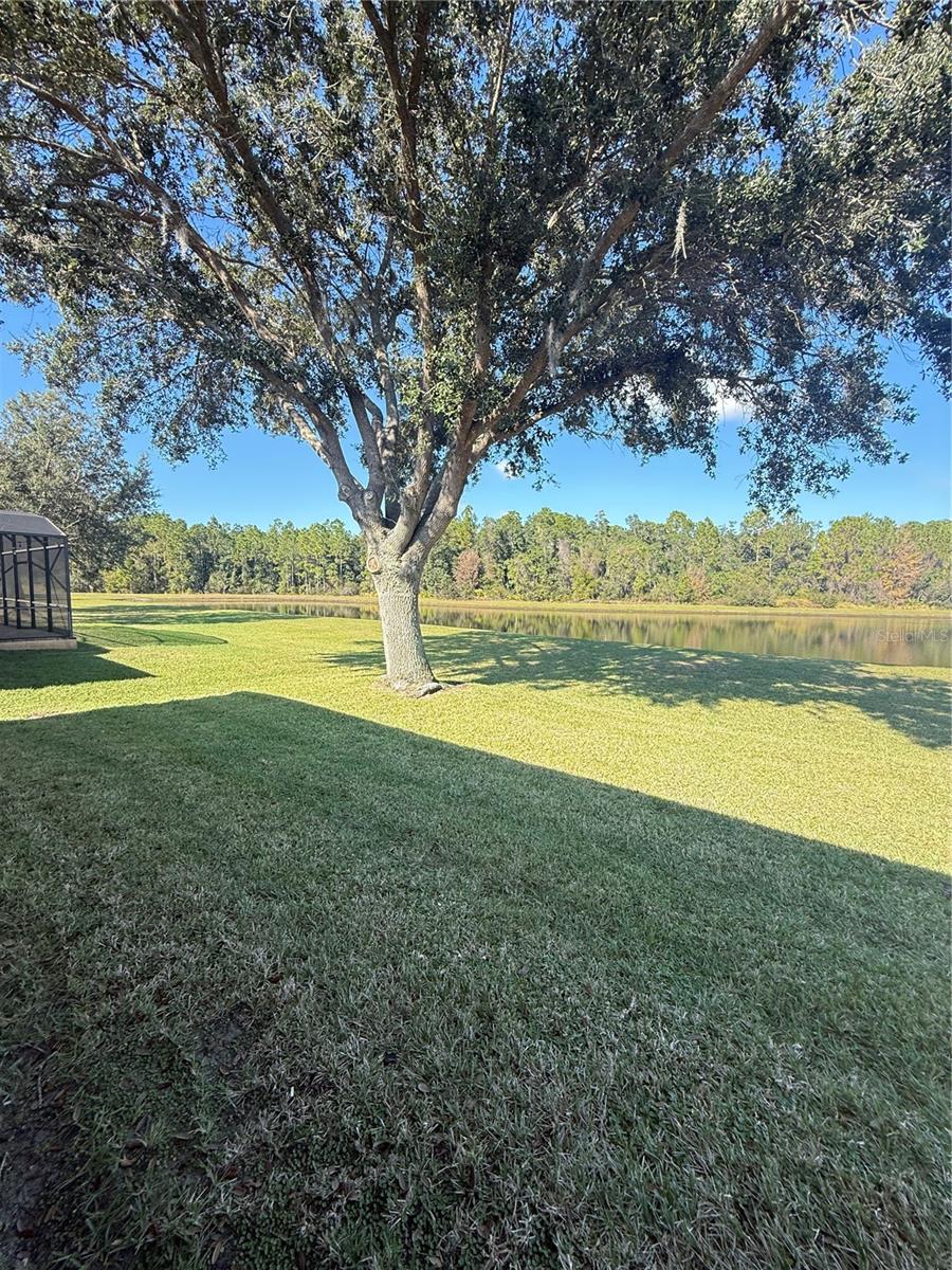 Image 46 of 52 For 10029 Chardonnay Drive