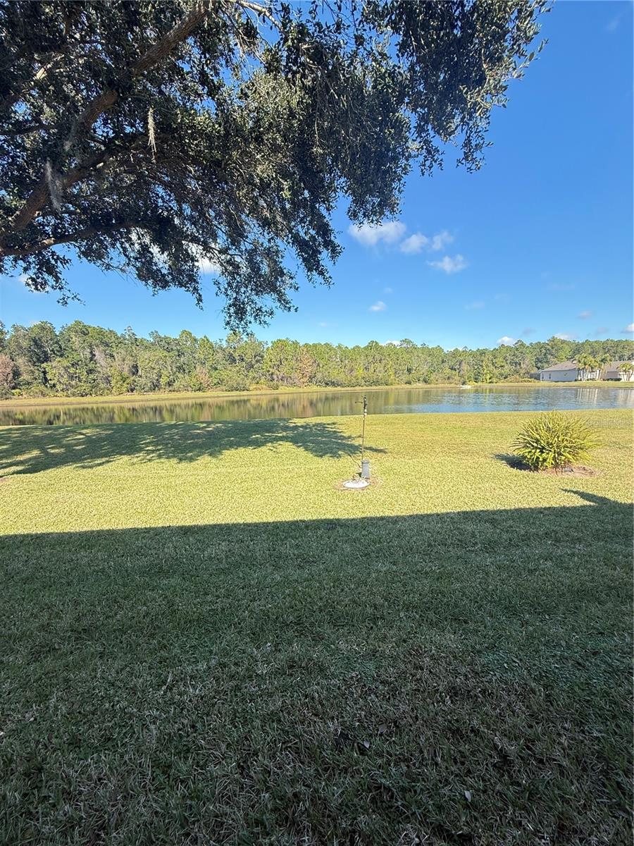 Image 47 of 52 For 10029 Chardonnay Drive