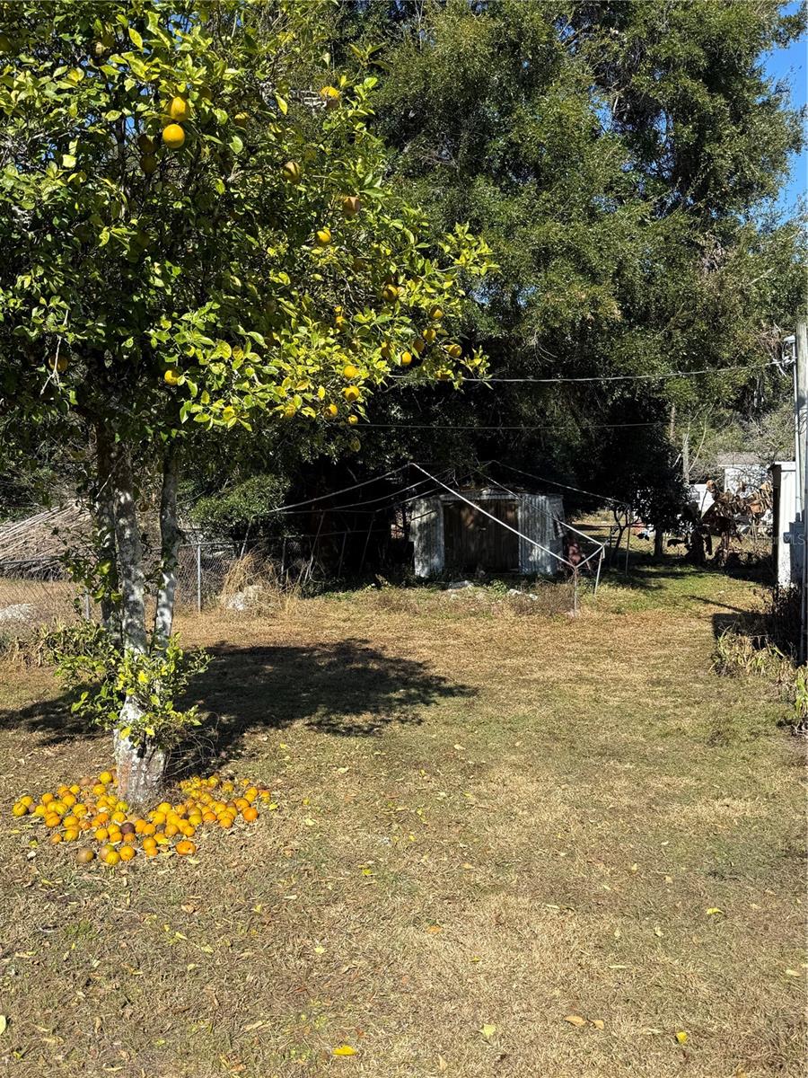 Image 21 of 21 For 6445 173rd Place