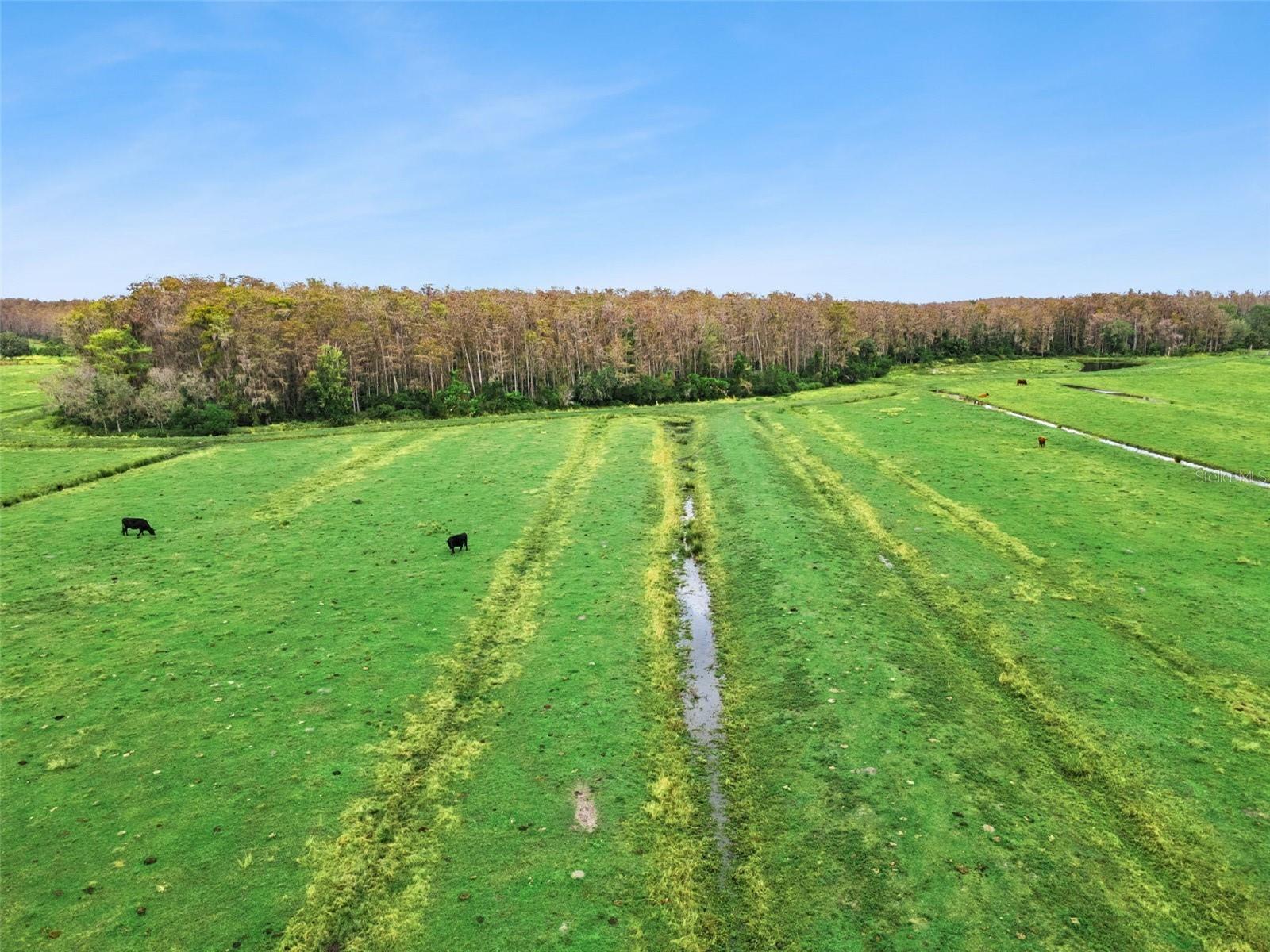 Listing photo id 8 for 1099 Canoe Creek Road