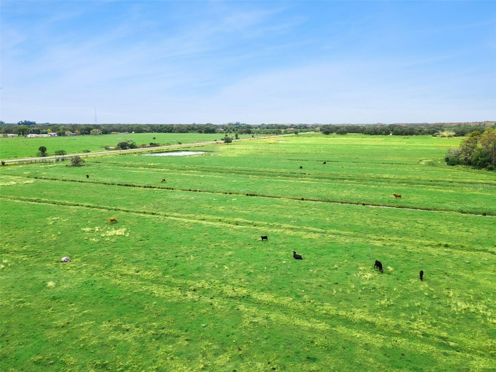 Listing photo id 5 for 1099 Canoe Creek Road