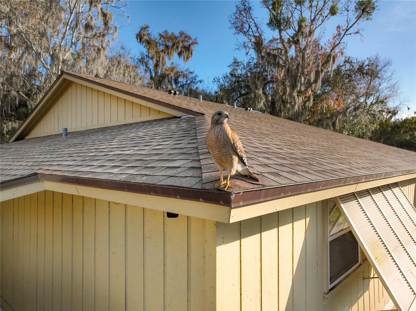 Image 2 of 77 For 130 Jasmine Woods Court 10d