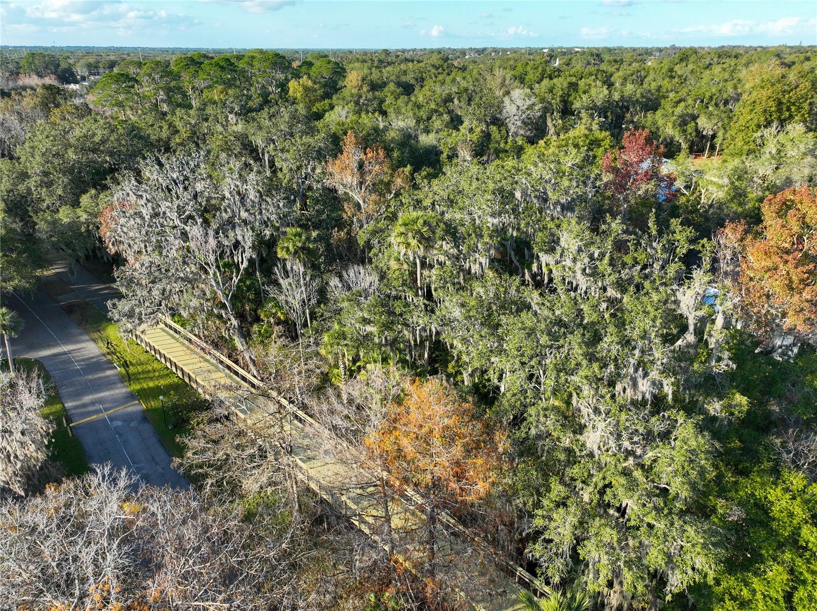 Image 47 of 77 For 130 Jasmine Woods Court 10d