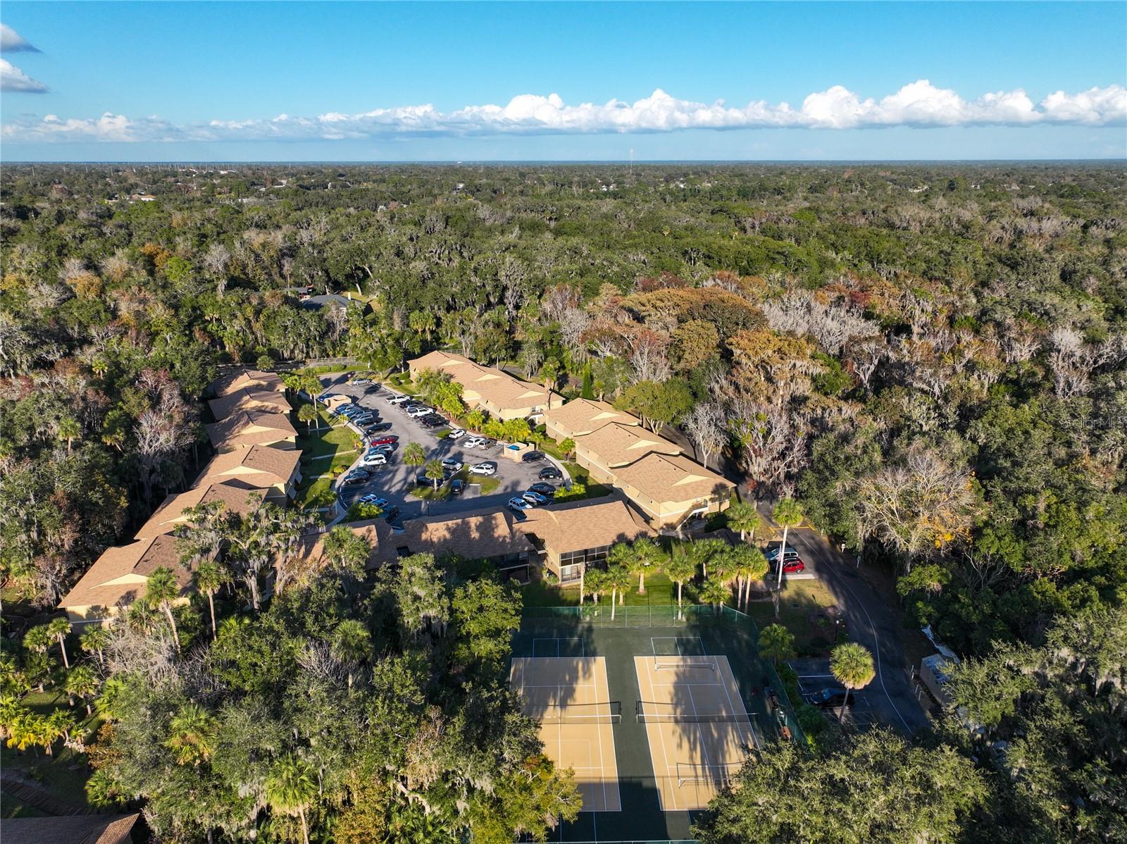 Image 54 of 77 For 130 Jasmine Woods Court 10d