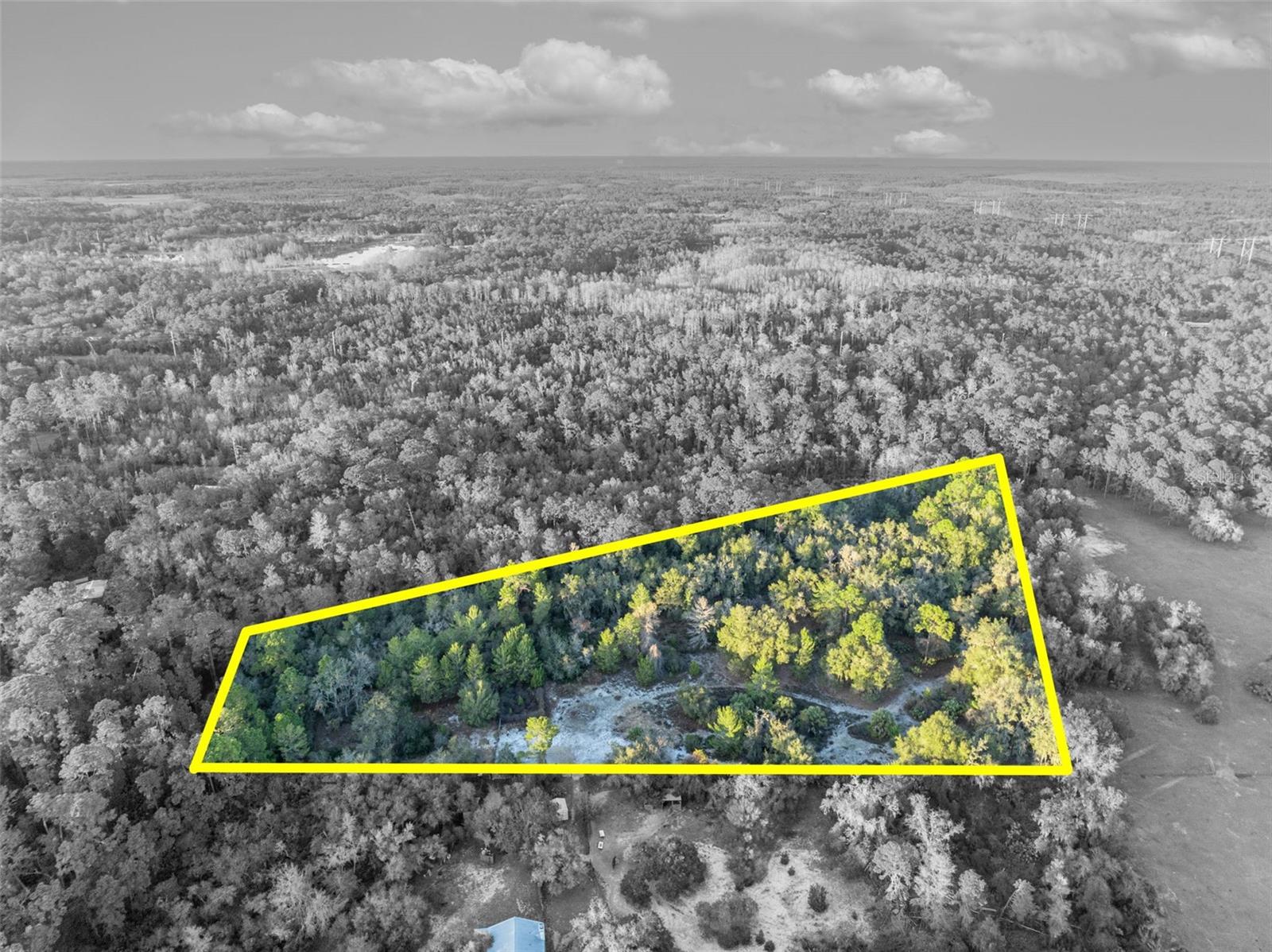 Image 4 of 11 For Willow Pond Lane